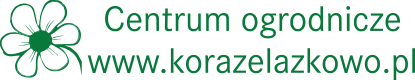 Kora Żelazkowo